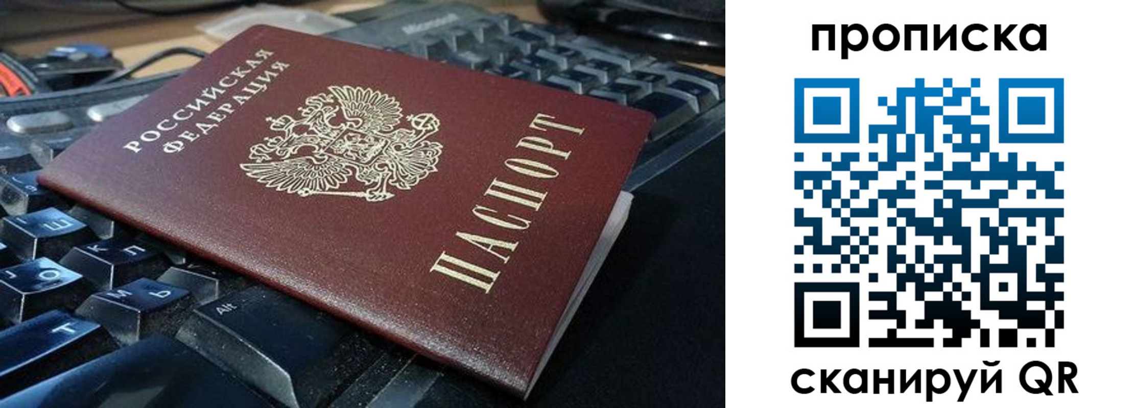 прописка иностранных граждан в Светлогорске
