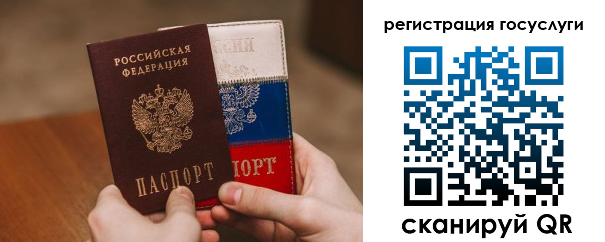 купить прописку в Светлогорске